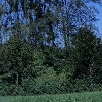 img_20220912_120815