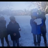 img16136413897210